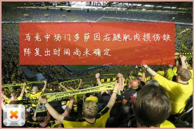 马竞中场门多萨因右腿肌肉损伤缺阵复出时间尚未确定