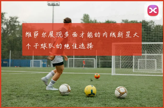 维萨尔展现多面才能的内线新星大个子球队的绝佳选择