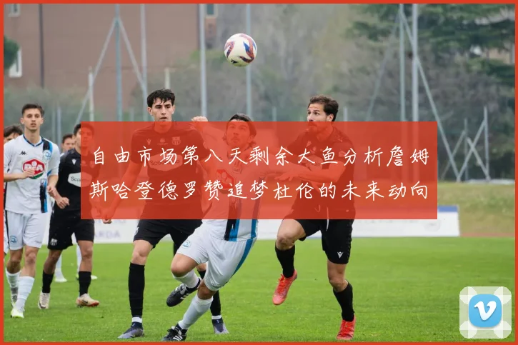 自由市场第八天剩余大鱼分析詹姆斯哈登德罗赞追梦杜伦的未来动向